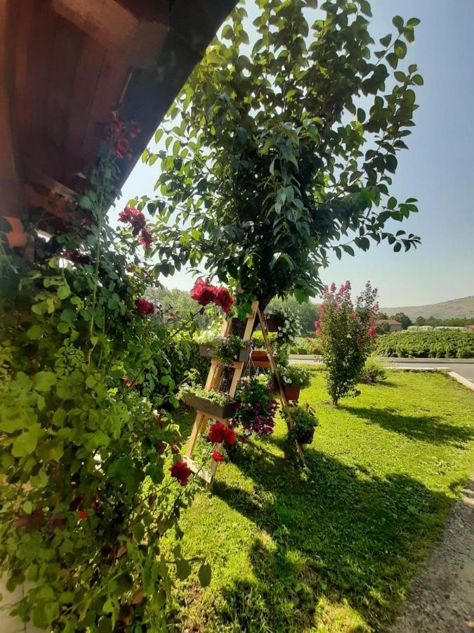 Rooms Mario Medjugorje Exterior photo