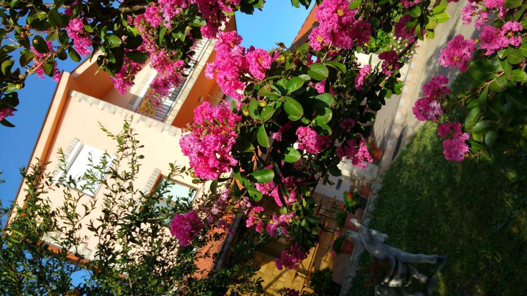 Rooms Mario Medjugorje Exterior photo